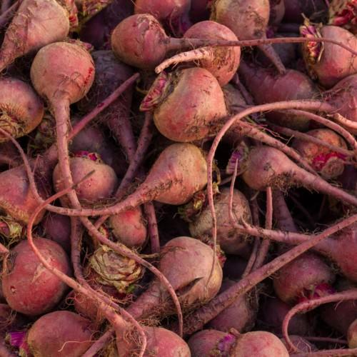 Red fruits with roots.