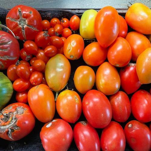 heap of small-big, round, oval, red-yellow fruits