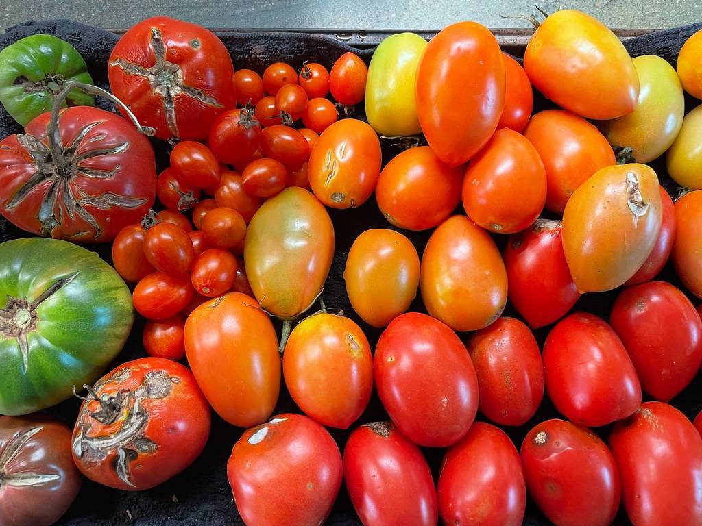 heap of small-big, round, oval, red-yellow fruits