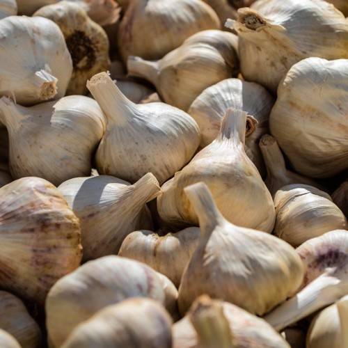 white-brown bulbs